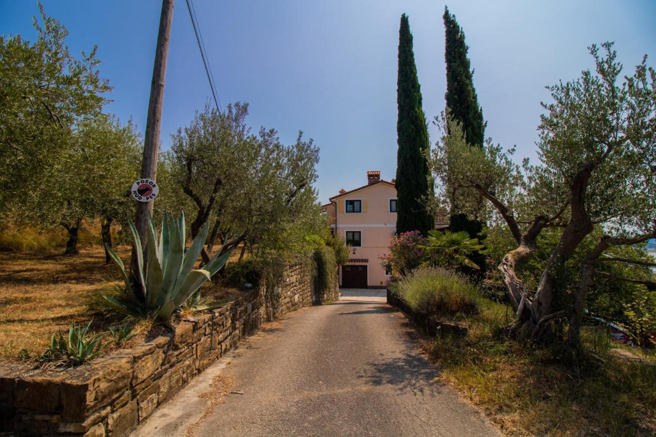 Olive Garden & Sea Apartments Portoroz Exterior photo