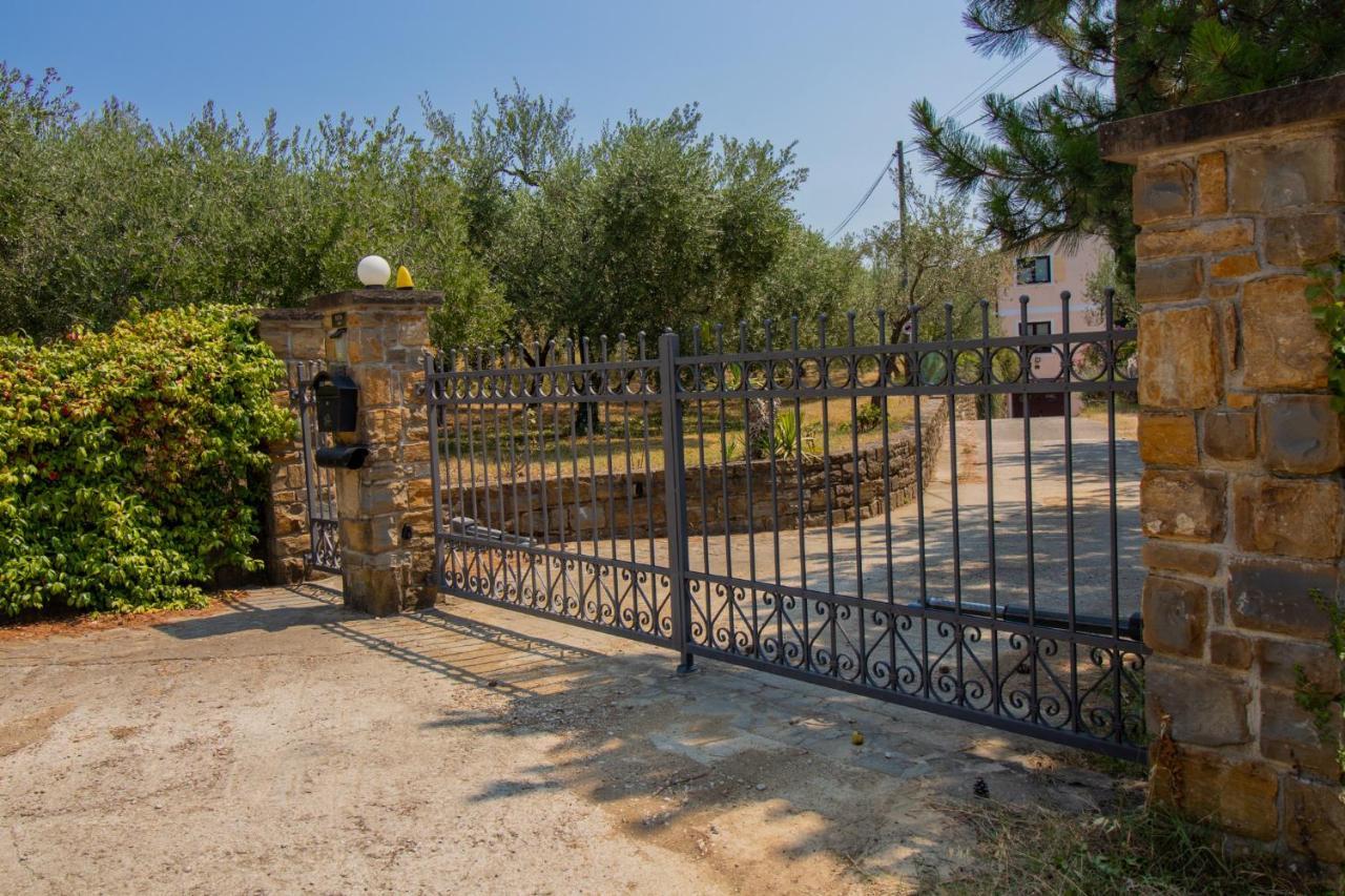 Olive Garden & Sea Apartments Portoroz Exterior photo